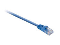 V7 CAT5e STP 1m Blue (V7E2C5S-01M-BLS)